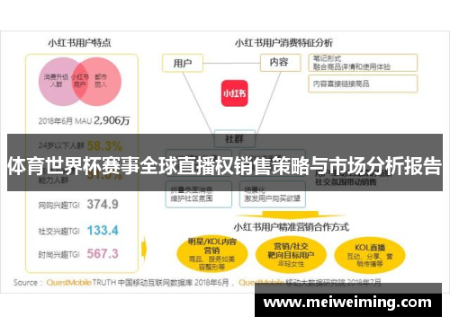 体育世界杯赛事全球直播权销售策略与市场分析报告